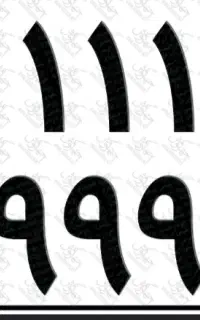 گمشده پلاک موتور