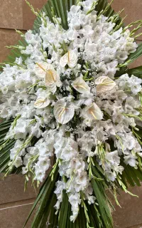 گل تازه طبیعی