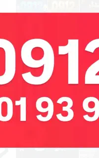 0912.101.93.93