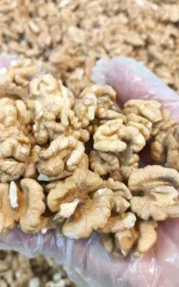 فروش همه رقم مغز گردو ایرانی