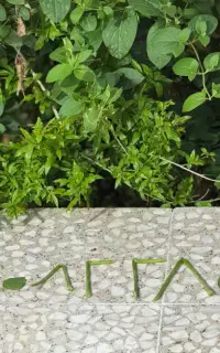 موبایل  ۰۹۲   ۰۸۲   ۲۸   ۰   ۲۸