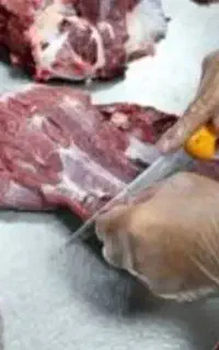 قصاب حرفه ای فقط 500