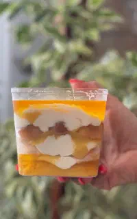 تیرامیسوی انبه پخت روز