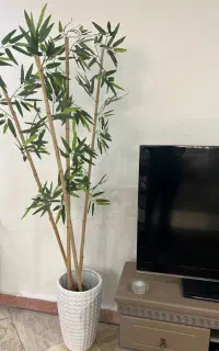 کل بامبو و گلدان
