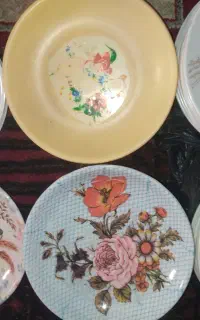 پنجاه بشقاب ملامین بابیست پنج تاپیاله گلسرخی باهم