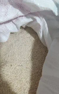برنج مخصوص طیور