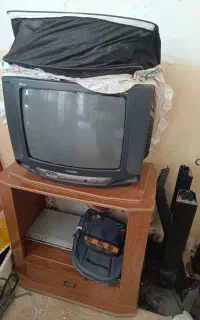 تلویزیون