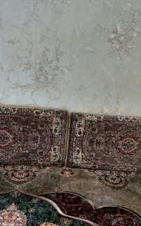 دوعدد پشتی سنتی سالم و تمیز