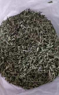 ازبوه کوهی