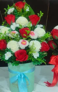 گل با کسی نو به علت جا نداشتن می فروشم