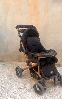 کالسکه دلیجان مدل بنیتا