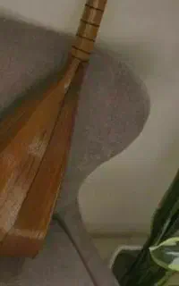 تنبور