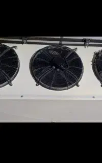 اواپاتور 20 اسب