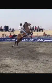 سیلمی