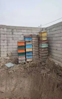 کندوی خالی و لوازم زنبورداری