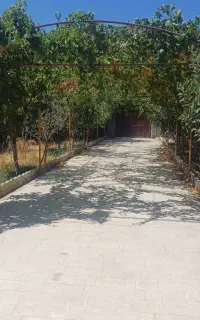 اجاره کوهتاه مدت جای امن ودنج