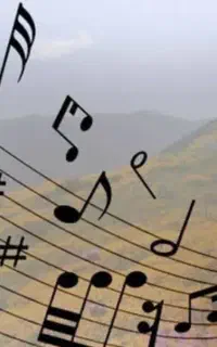 گردهمایی هنرمندان موسیقی