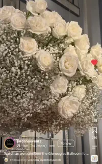 استخدام نیروی گل آرایی