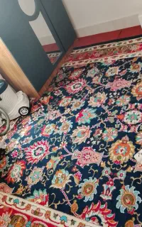 دوعدد گلیم فرش پرز دار همراه پا دری