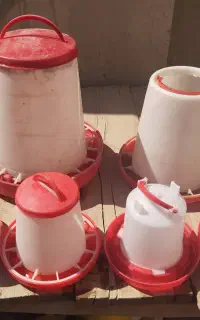 ظرف آب و دون خوری مرغ