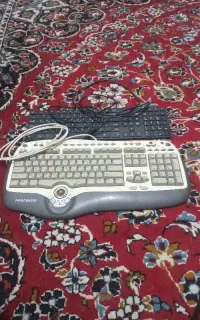 دوعددکیبورد،ویک عددموس اپل همه باهم