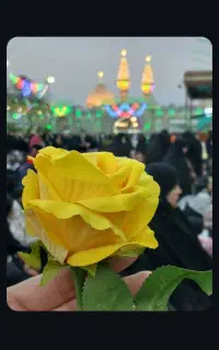 تور زیارتی وسیاحتی
