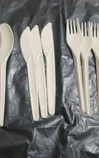 یکبار مصرف