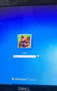 لب تاب