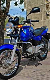 پالس پره ای