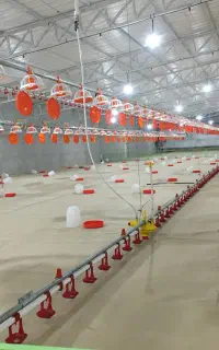 کارگر مرغداری با خانواده