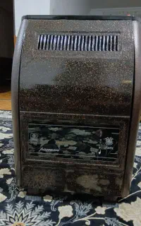 بخاری ۷ هزار پانیزان