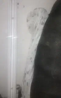 مهتابی