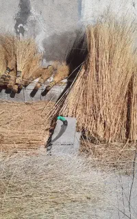 فروش کلی و جزعی جارو با نازلترین قیمت.