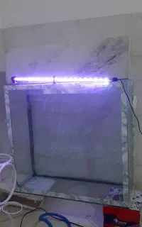اکواریوم