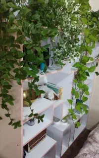 کتابخونه . کمد دیواری . کمد طبقه ایی