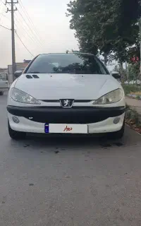 اس دی بی رنگ