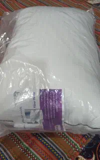 بالشت طبی