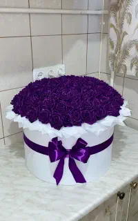 گل رز روبانی