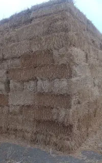 کاه