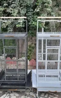 قفس ارایی مدل اراد