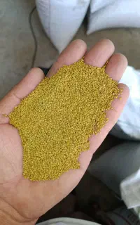 بذر یونجه اصلاح شده سیاه یونجه
