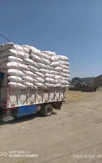 کاه گندم و جو