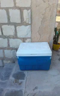 فلاکس بزرگ