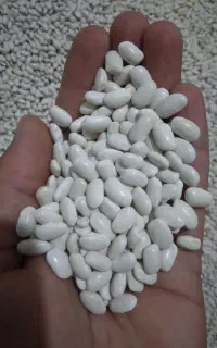 لوبیا سفید