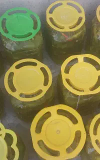 فروش خیار شور