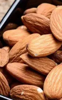 خرید وفروش بادام  وگردو ایرانی روبرو ثبت احوال