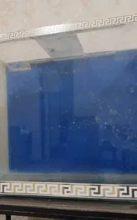 اکواریوم خم شرکتی با پایه  طول۷۰ارتفاع۶۰عرض۴۰