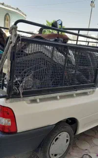 بار از لار و گراش و خنج ب همه جا