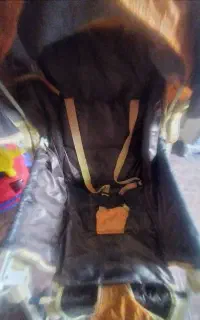کالسکه سالم