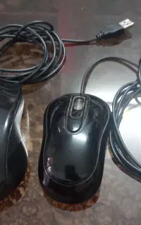 دوعدد موس